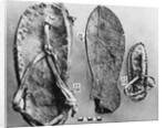 Examples of Ancient Egyptian Footwear by Anonymous