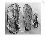 Examples of Ancient Egyptian Footwear by Anonymous