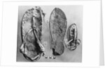 Examples of Ancient Egyptian Footwear by Anonymous