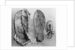 Examples of Ancient Egyptian Footwear by Anonymous