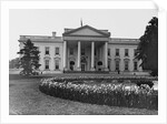 White House And Iris Garden by Anonymous