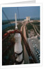 Apollo 15 Atop Saturn 5 Rocket by Anonymous