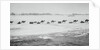 Camel Train Carrying Supplies by Anonymous
