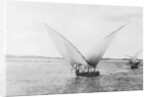 Sailboat on the Nile by Anonymous