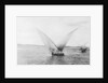 Sailboat on the Nile by Anonymous