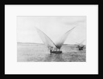Sailboat on the Nile by Anonymous