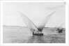 Sailboat on the Nile by Anonymous