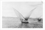 Sailboat on the Nile by Anonymous