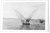 Sailboat on the Nile by Anonymous