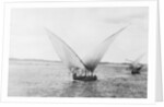 Sailboat on the Nile by Anonymous