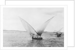 Sailboat on the Nile by Anonymous