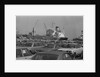 View of Toyotas Being Unloaded at Terminal by Anonymous