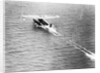 Friendship Taking Off by Anonymous