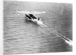 Friendship Taking Off by Anonymous