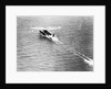 Friendship Taking Off by Anonymous