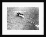 Friendship Taking Off by Anonymous