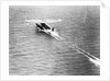 Friendship Taking Off by Anonymous