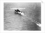 Friendship Taking Off by Anonymous