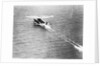 Friendship Taking Off by Anonymous
