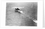 Friendship Taking Off by Anonymous