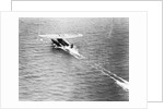 Friendship Taking Off by Anonymous