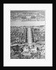 View of Canberra, Australia by Anonymous