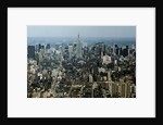 New York City by Anonymous