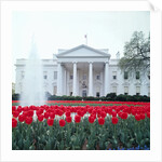 The White House by Anonymous