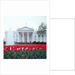 The White House by Anonymous