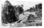 Trans Amazon Highway by Anonymous