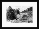 Trans Amazon Highway by Anonymous