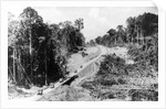 Trans Amazon Highway by Anonymous