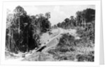 Trans Amazon Highway by Anonymous