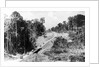 Trans Amazon Highway by Anonymous