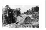 Trans Amazon Highway by Anonymous