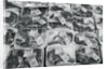 Packaged Discounted Meat by Anonymous