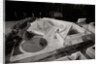 View of a Model for John Fitzgerald Kennedy Library by Anonymous