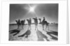 Botswana's Police Camel Corps by Anonymous