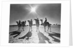Botswana's Police Camel Corps by Anonymous