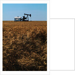 Crops Ready for Harvest by Anonymous