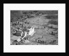 Aerial View of Lindbergh Home by Anonymous