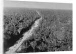 Trans Amazon Highway by Anonymous