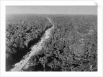 Trans Amazon Highway by Anonymous