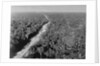 Trans Amazon Highway by Anonymous