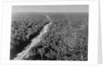 Trans Amazon Highway by Anonymous