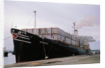 View of Mayaguez Docking at Port by Anonymous