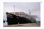 View of Mayaguez Docking at Port by Anonymous