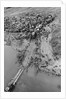 Convoy Crossing the Song Ba River by Anonymous