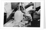 Person Making a Purchase with Food Stamps by Anonymous