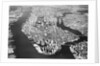 Manhattan from Above on a Clear Day by Anonymous